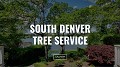 South Denver Tree Service